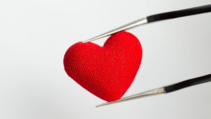 coração sustentado por duas astes