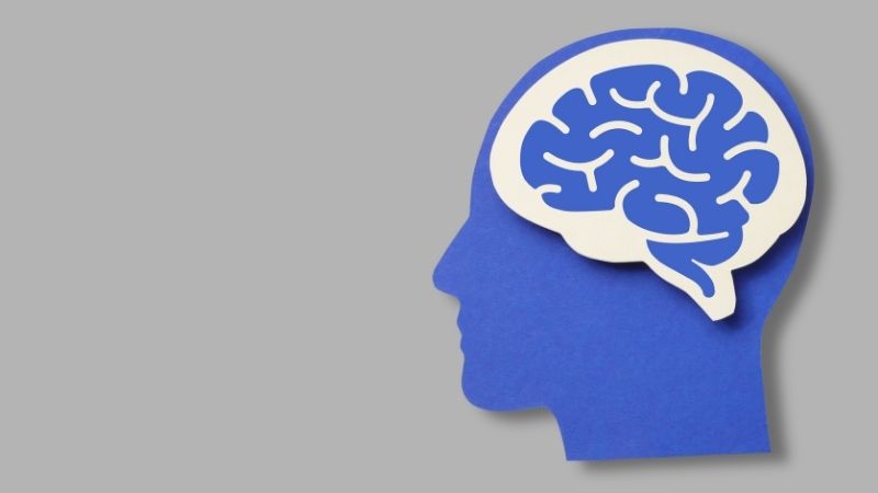 isso explica por que a rejeição dói tanto.